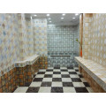 2016 azulejo de la pared y cuarto de baño y azulejo del sitio de la cocina